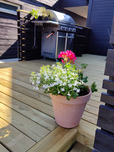 Blomma