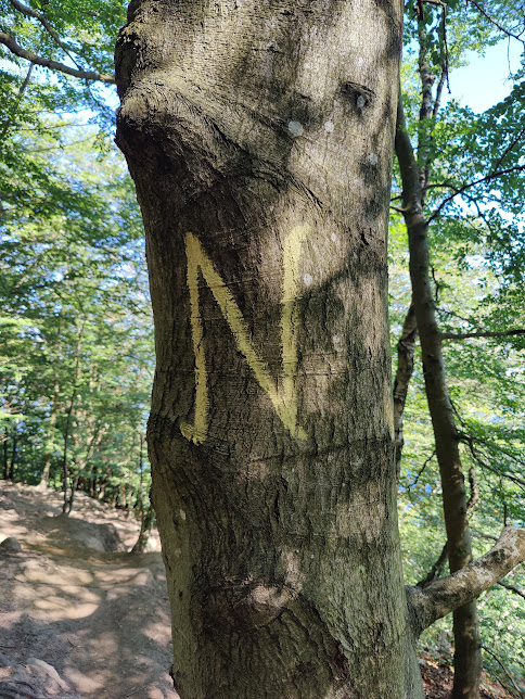 Nimis