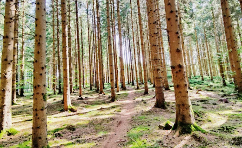 Mountainbike