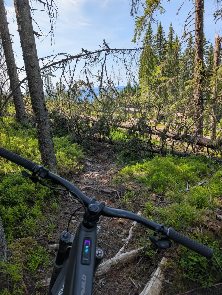 Hafjell Bike Park