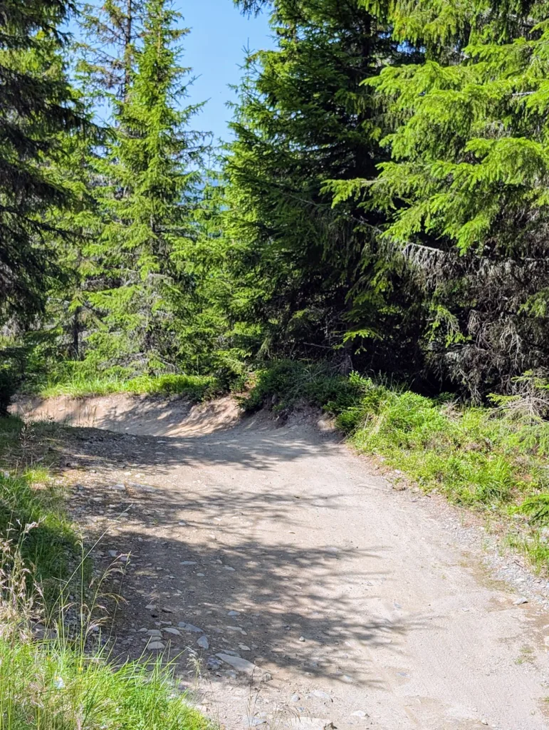 Hafjell Bike Park