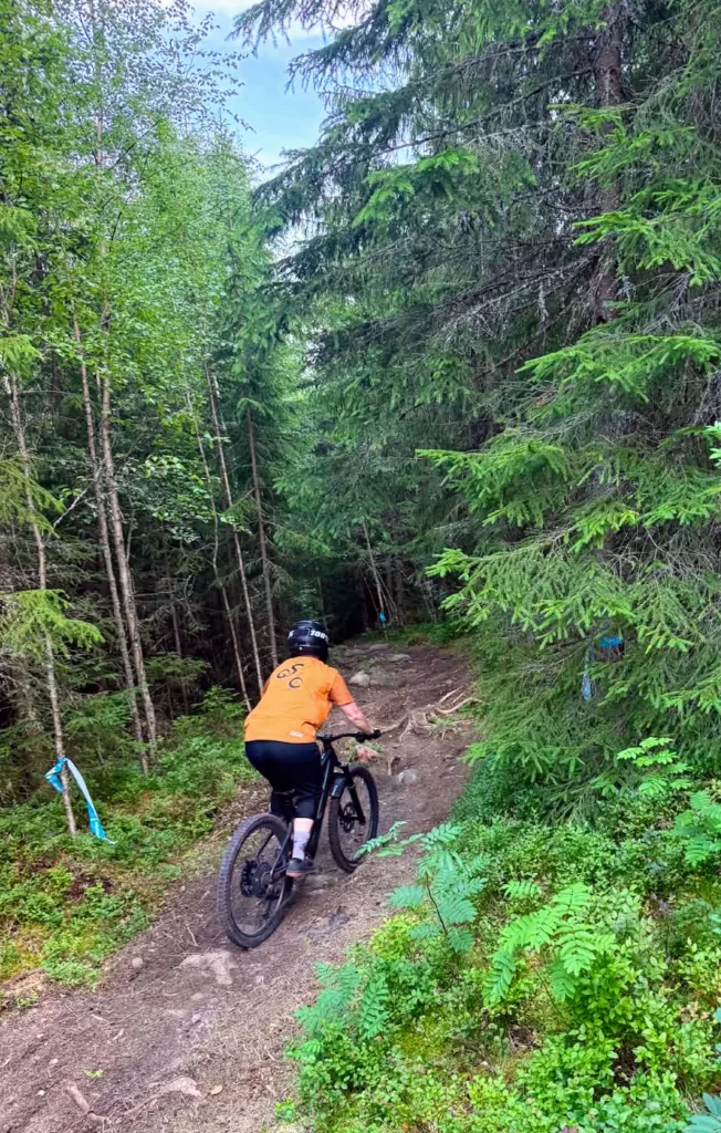 Sunne Ski & Bike