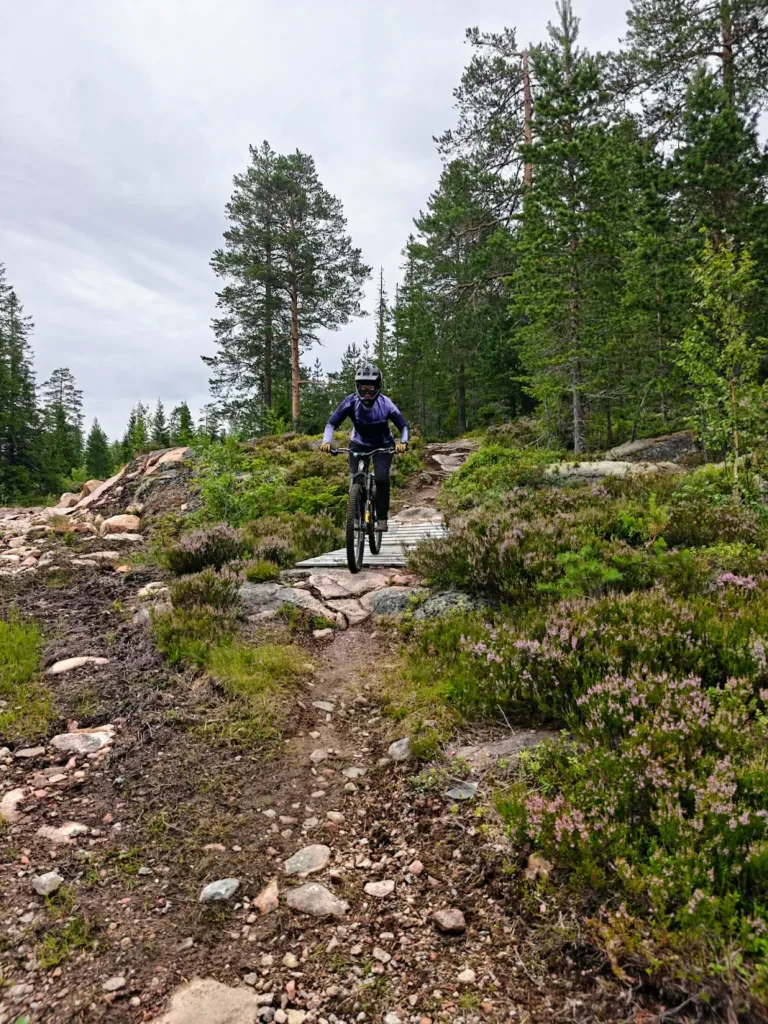 Gesunda Bike Park