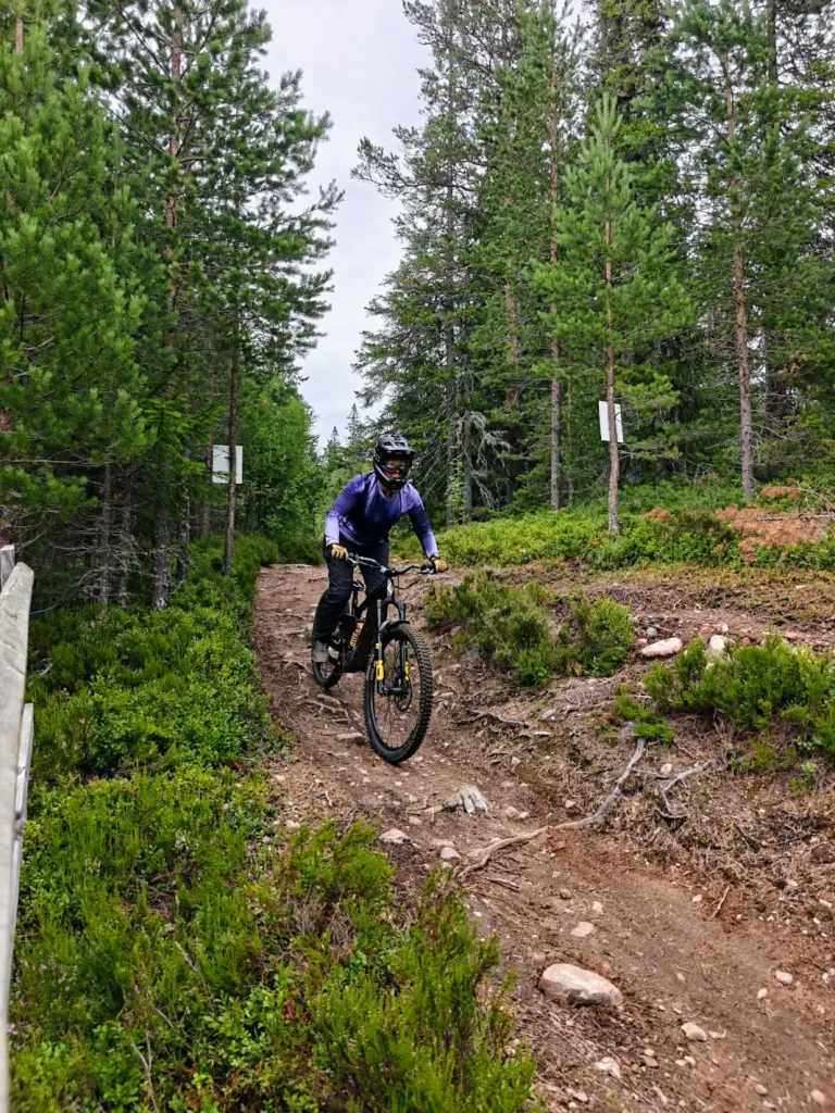 Gesunda Bike Park