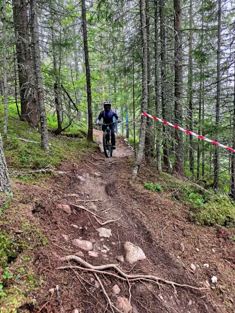 Gesunda Bike Park