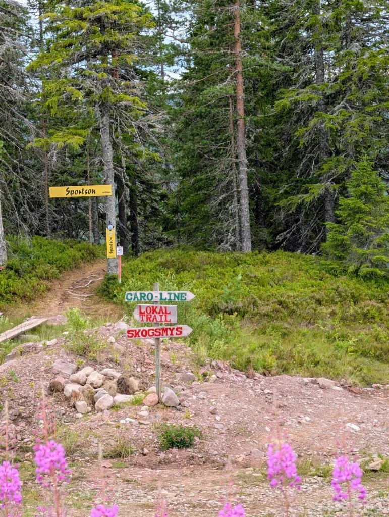 Gesunda Bike Park